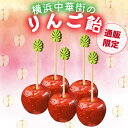 フルーツ飴 リンゴ飴 りんご飴 冷凍スイーツ 日本加工 フルーツ お菓子 果物 クリスマス こどもの日 入学式 入園式 ギフト 誕生日プレゼント 取り寄せ 横浜中華街 個別包装 冷凍スイーツ 文化祭 屋台(4)