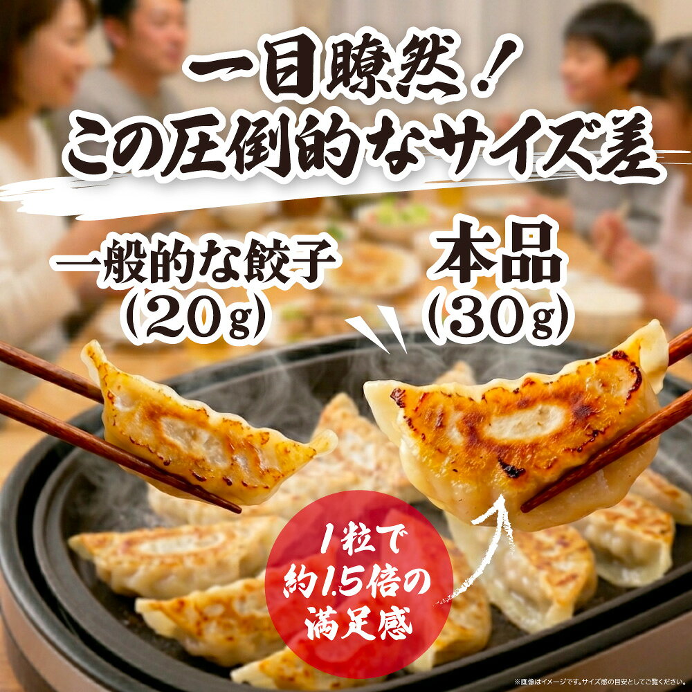 焼餃子 30g 焼き餃子 大きい餃子 餃子取り寄せ 冷凍餃子 ギョーザ ぎょうざ ギョウザ 肉焼餃子 肉汁餃子 お取り寄せ惣菜 冷凍中華 ビールに合うおつまみ ビールのつまみ 豚肉 野菜 おかず おつまみ 惣菜 点心 大きい 肉汁 にんにく お取り寄せ すぐ届く 送料無料 jun-tokyo-10000055 GOLDJUN サンプル画像3