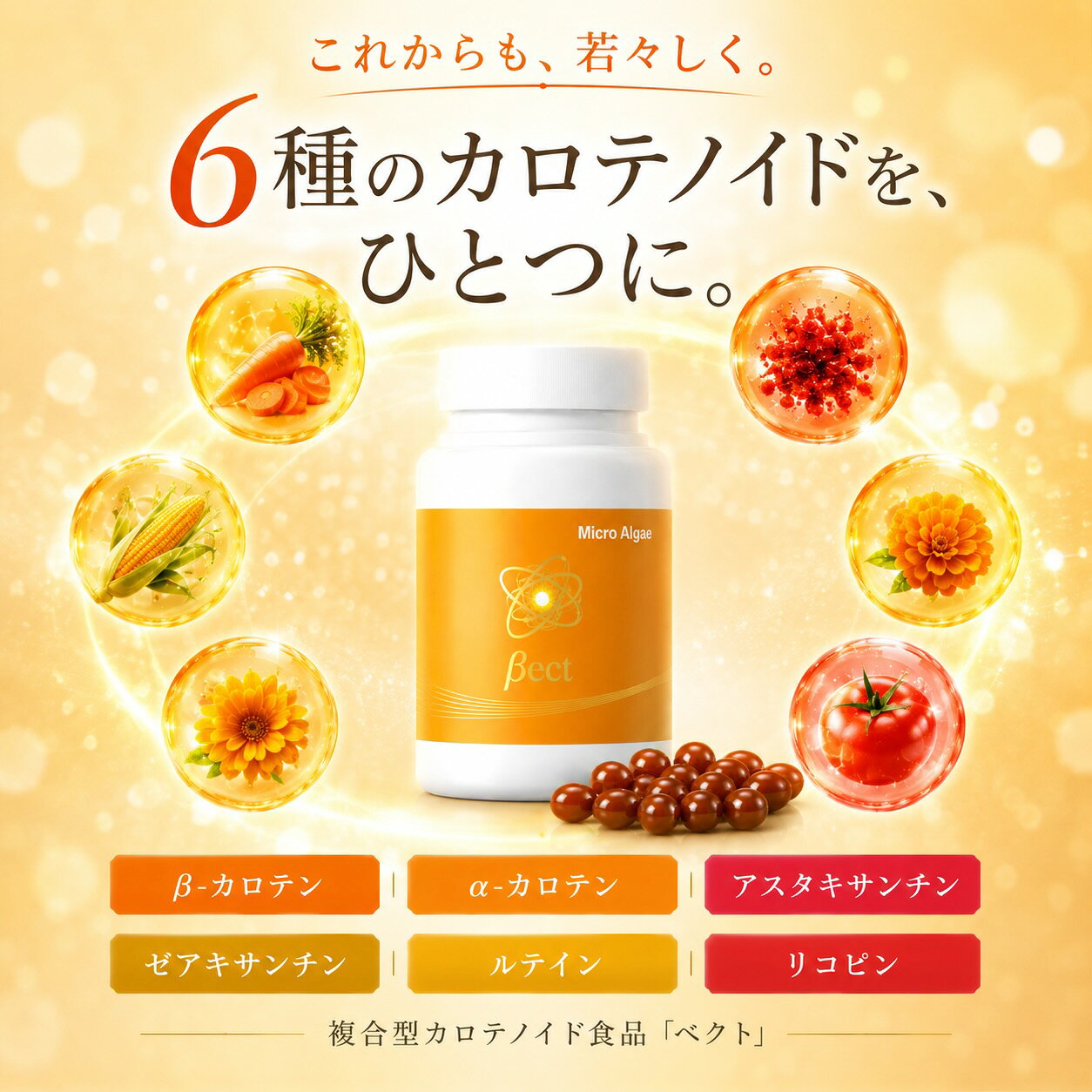 マイクロアルジェ ベクト 藻 サプリ 240粒 複合型カロテノイド食品 若々しさをサポ...
