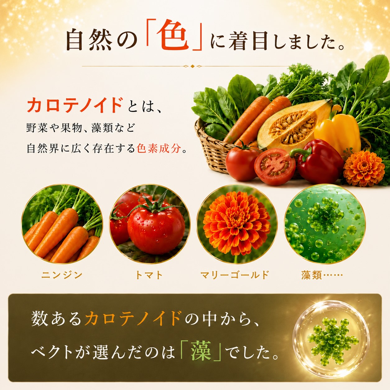 マイクロアルジェ ベクト 藻 サプリ 240粒 複合型カロテノイド食品 若々しさをサポ...