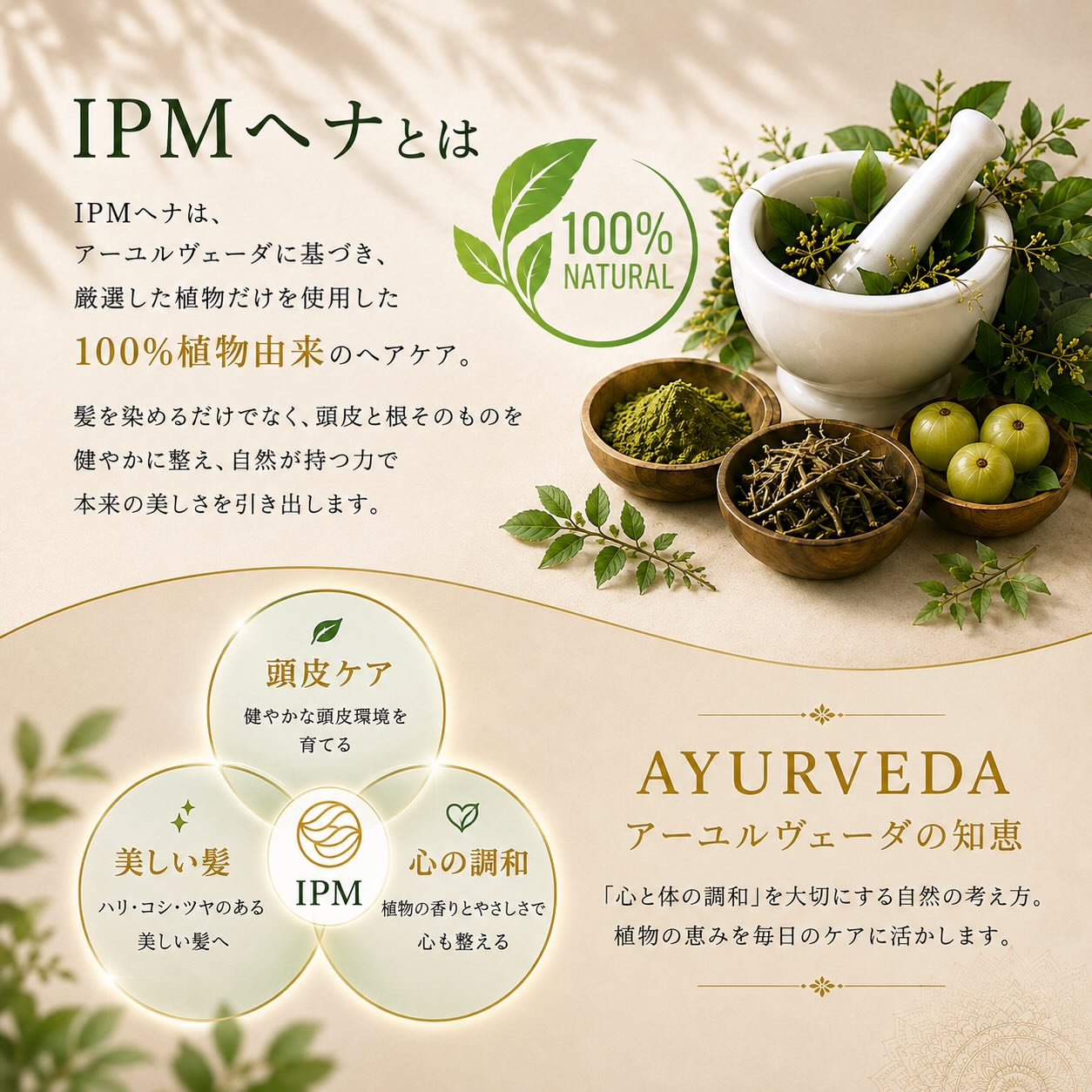 IPM ヘナ ハーバルブレンド 100g【エコ洗剤1個つき】 オーガニック 白髪染め 毛染め ヘナカラー 無添加 天然ハーブ henna jun-world-10000064 JUN WORLD 楽天市場店 サンプル画像3
