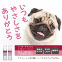 ラファンシーズ スーパーナチュラル シャンプー 200ml (エコ洗剤2個プレゼント) 2