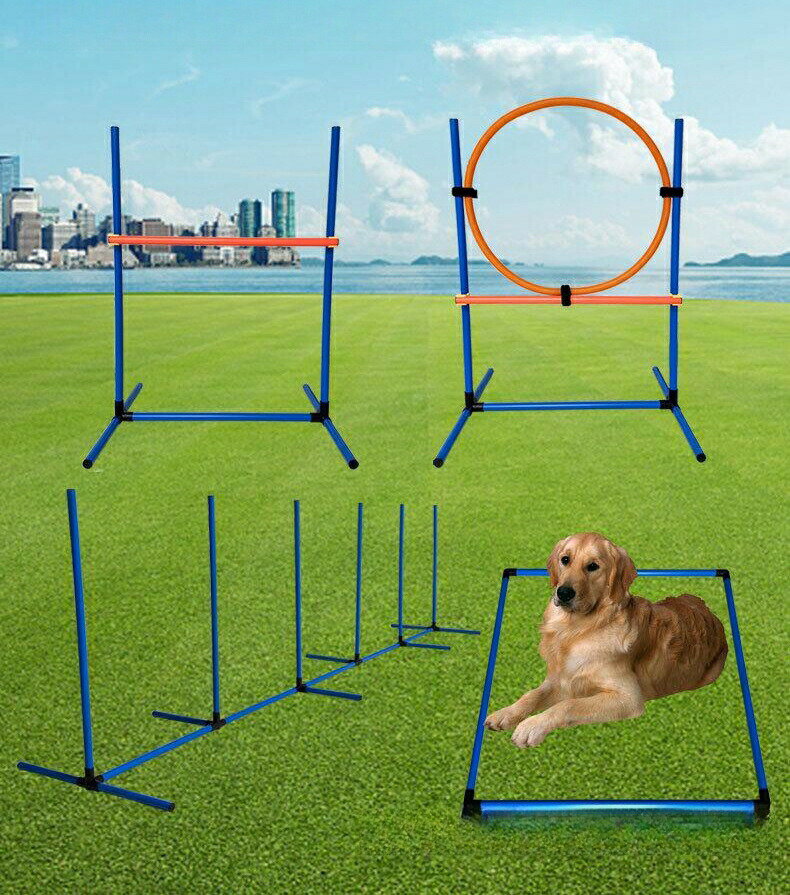 ドッグアジリティ 犬 アジリティ 犬用おもちゃ スラローム ハードル ジャンプバー 障害物 組立式 室内 ..