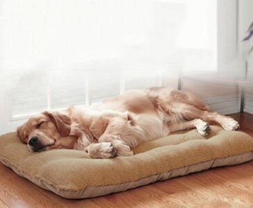 ラージマット ペットベッド 犬 猫マット ふわふわ 寝心地バツグン 厚い　洗えるベッド クッション 暖かい ペットクッション 猫ベッド 犬ベッド 可愛いペット用品 二点送料無料