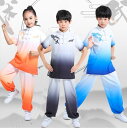 太極拳服グラデーション太極拳ウエア100〜180cm子供〜大人用 半袖上下セット プリント中華武術服カンフー チャイナ風 男女兼用 ゆったり イベント舞台演出服...