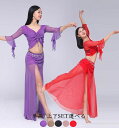 ベリーダンス 衣装セット レディース 社交ダンスウェア 練習着 レッスン着 Belly Dance フリル袖 七分袖 Vネックトップス スリット入ロング丈スカー...