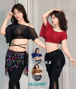 ベリーダンス衣装 2点セット 3点セット 春夏 ヘソ出し ミニ丈 トップス チュール メッシュ ラメ 半袖 不対称 ブラウス パンタロン調 ロングパンツ ストレ...