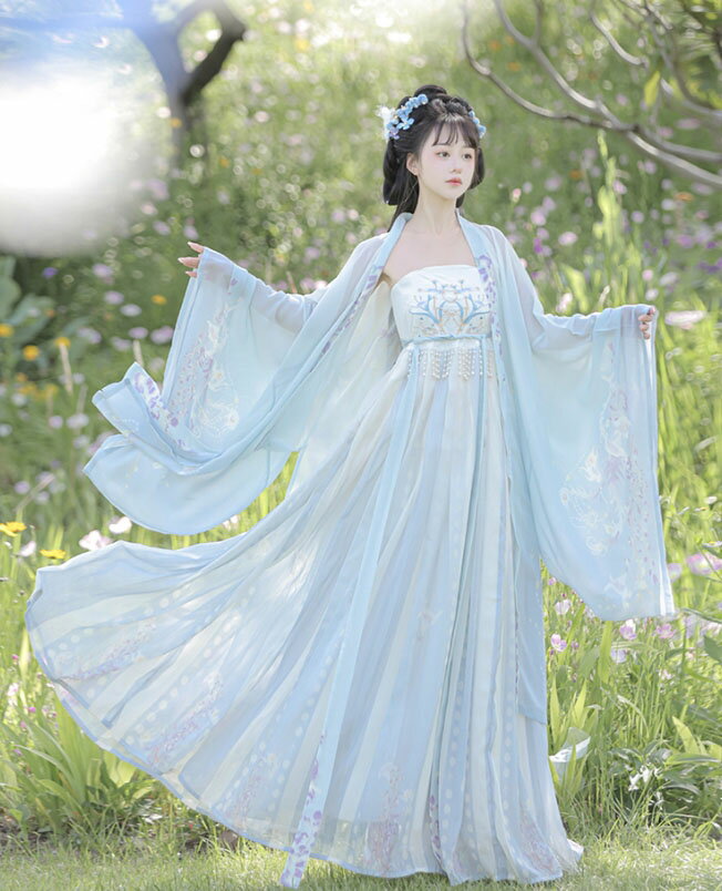 漢服 レディース 中華コスプレ衣装 唐朝 中国古代服装 女性 大人 振り袖の羽織付き 2点セット 紫 ブルー 紫藤花 プリント グラデーション お姫様 中華古代古典 コスプレ 仮装 変装 漢服 ドレス 中華 華流 ハロウィン 文化祭 コスプレ 衣装 S M L XL 2XL