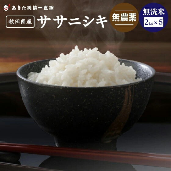 《無農薬》《無洗米》秋田県産 ササニシキ 10kg（2kg×5）【令和5年産】【生産者直送】〈太郎米〉※沖縄県、離島は、追加送料加算されます。のサムネイル