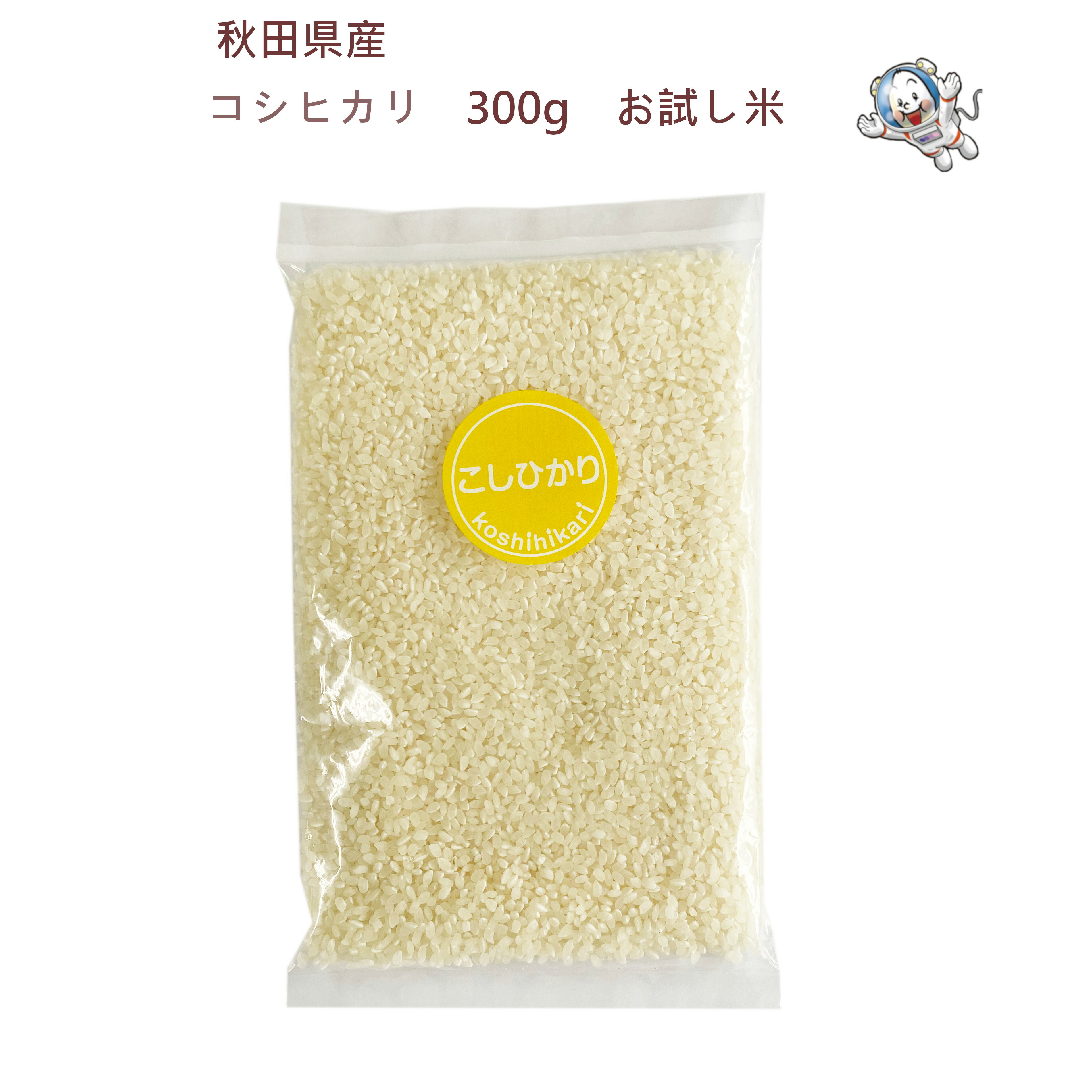 【送料無料】【令和7�