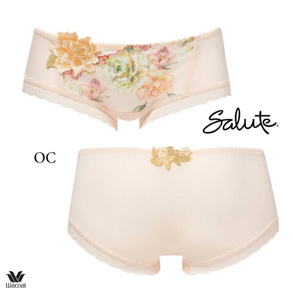 �拾���� ���롼�� 21G ���硼�� PTJ521 M��L �ܡ�����󥰥�(�ҥåץϥ�)