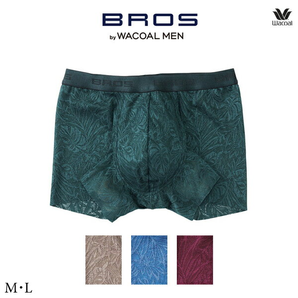 ワコール ブロス バイ ワコールメン【BROS by WACOAL MEN】レースボクサーパンツ（前閉じ）GT3341 M・Lのサムネイル