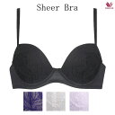 30 OFF ワコール Sheer Bra シアーブラ ブラジャー BRB405 3/4カップ DEF