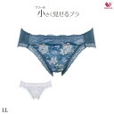 30%OFF ワコール 小さく見せるブラ ペアショーツ PRA123LL ビキニ・ハイレッグ(ノーマルタイプ)