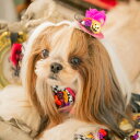 犬 リボン 猫 CanNana きゃんナナ ハロウィン帽子リボン HWR-060 メール便対応商品 ハロウィーン