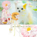 犬 アクセ CanNana 【きゃんナナ】ガーベラロングバレッタリボン イエロー ヘアリボン 髪飾り アクセ ピンク フラワーアレンジ 花