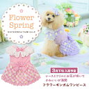 キャンナナ CANNANA 犬服 春 フラワーギンガムワンピース