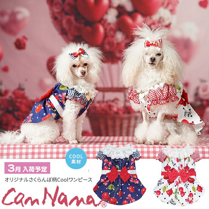 楽天市場】さくらんぼ（ワンピース｜ドッグウェア）：犬用品<ペット