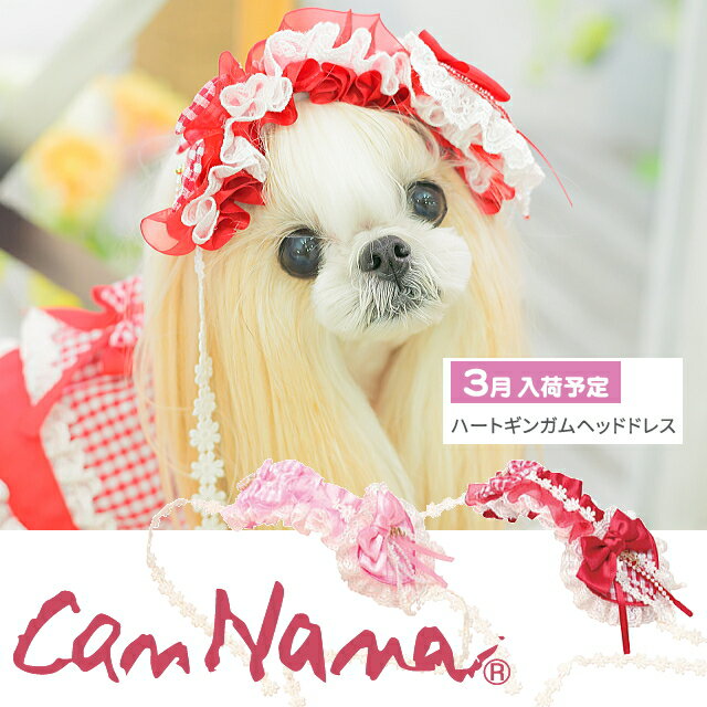 楽天市場】ヘッドドレス リボン（ペット・ペットグッズ）の通販