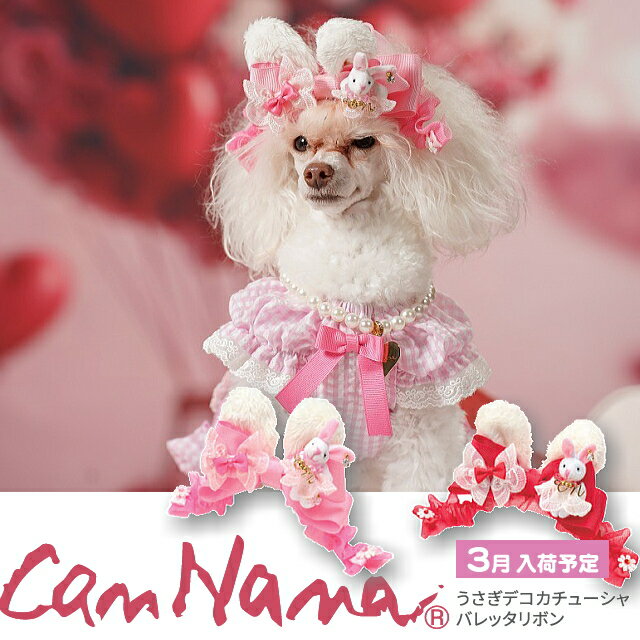 �� ��ܥ� ǭ �Х�å���ܥ� �������ǥ������塼����Х�å���ܥ� ���������꡼ ��ܤ� ��󥿥å����ԥ� ��å� ��ӥå� ������