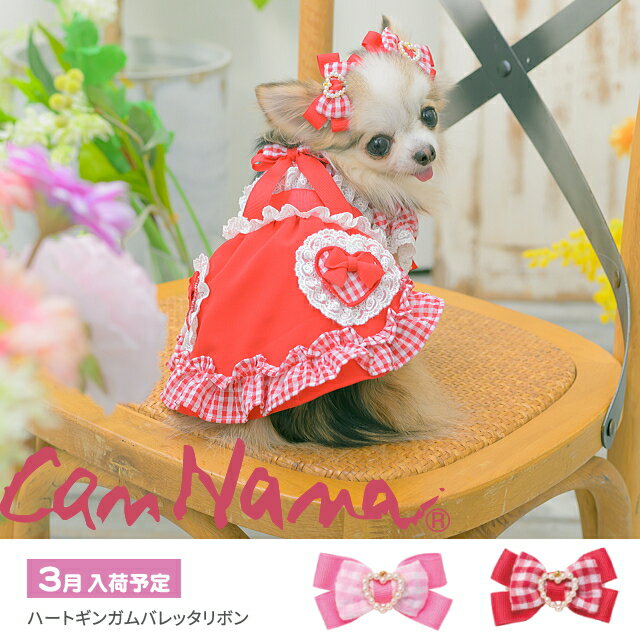 楽天市場】犬 ワンタッチリボンの通販