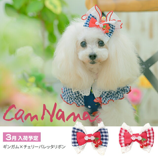 楽天市場】犬 ワンタッチリボンの通販