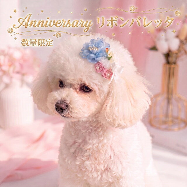 かわいい 新作 犬 アクセリボン CanNana 【きゃんナナ×じゃんぐるぺっと】アニバー...