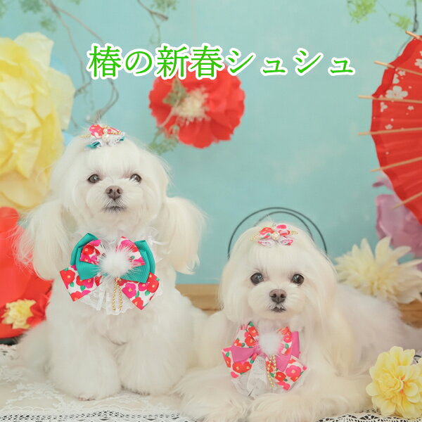 楽天市場】シュシュ（カラーピンク）（犬用品｜ペット・ペットグッズ