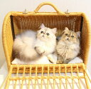 猫 ラタン キャリー シンシアジャパン【N4スタイル】 ラタンキャリーマイン Mサイズ 8kgまで ラタン 移動 猫 ショルダー 送料無料 病院通い