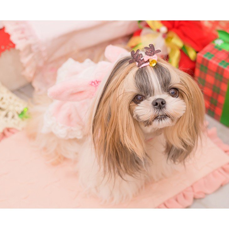きゃんナナ 　猫 犬 ヘアピン クリスマスアクセ 【きゃんナナ】トナカイワンタッチ...