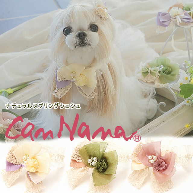 きゃんナナ 犬 猫 シュシュ 【きゃんナナ】プルメリア・グリーンシュシュ SS-Lサイズ　キャンナナ CANNANA 数量限定 グリーン お花　リボン　犬のアクセサリー しゅしゅ 小型犬 中型犬