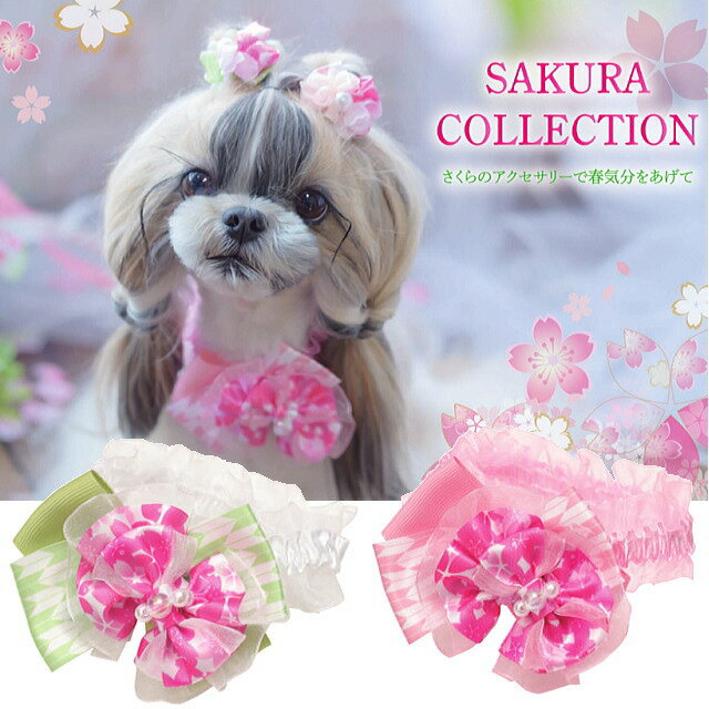 桜 犬 チョーカー CanNana 【きゃんナナ】さくらシュシュアクセ SS-Lサイズ NNR449 SAKURA 花見 イベント