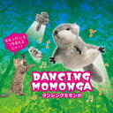 正規品 動画あり 貝沼産業 ダンシングモモンガ 猫おもちゃ 羽ばたく cattoy 動く【クーポン配布中】