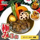 絶品スープカレー【極み3食セット(冷凍)】 3〜6人前 (1パック/1〜2人前) スパイス 食品 セット お取り寄せグルメ 贈答用 ギフト 食べ比べ 詰め合わせ...