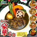 絶品スープカレー【豪華6食セット(冷凍)】 6〜12人前 (1パック/1〜2人前) スパイス 食品 セット お取り寄せグルメ 贈答用 ギフト 食べ比べ 詰め合わ...