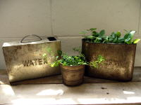 【鉢 ポット 植木鉢 おしゃれ ブリキ インテリア 雑貨 カフェ ショップ ガーデニング ツール アンティーク調 アンティーク風】オーバルキープオンポット