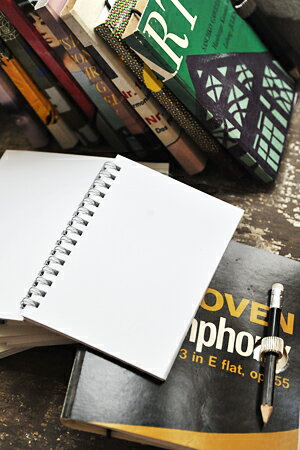 【ノート おしゃれ ステーショナリー インテリア 雑貨 アンティーク調 アンティーク風】LPスリムノート..