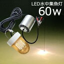 【2個セット】LED 水中集魚灯 黄色光 イエロー 60w 5400lm LED集魚灯 水中ライト 水中灯 12V24v用 集魚ライト ライト 船舶ライト 船舶 釣り ledライト 釣果 シラスウナギ シラウオ イカ アジ タチウオ アオリイカ 夜焚き 堤防釣り 水中イルミネーション