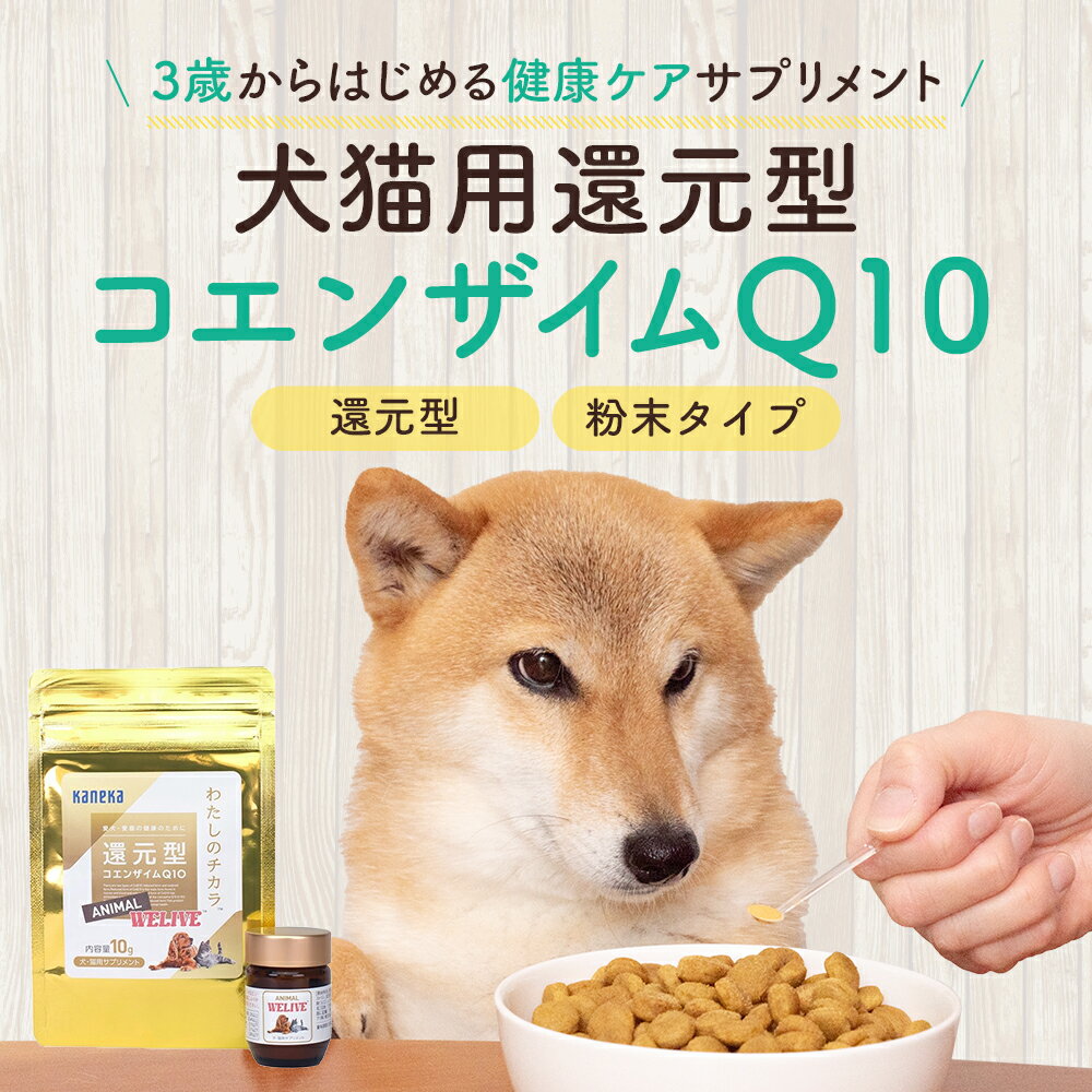【ポイント10倍】犬猫用 還元型 コ