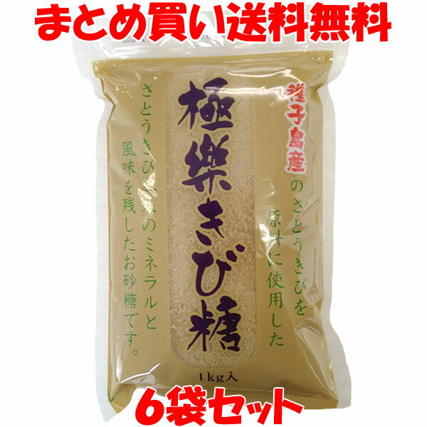 砂糖 極楽きび糖 種子島産 波動法製造(株) 1kg×6袋セットまとめ買い送料無料