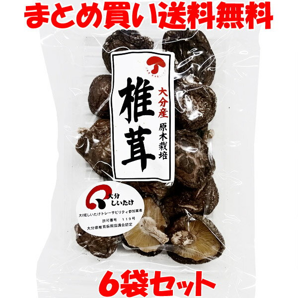 マルコ物産 大分産 原木椎茸 乾燥 40g×6袋セットまとめ買い送料無料