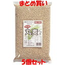 マルシマ 丸麦 1kg×5個セット まとめ買い