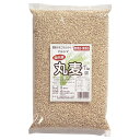 マルシマ 丸麦 1kg