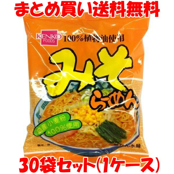 健康フーズ みそらーめん ラーメン らー麺 インスタント 100g×30袋(1ケース) まとめ買い送料無料