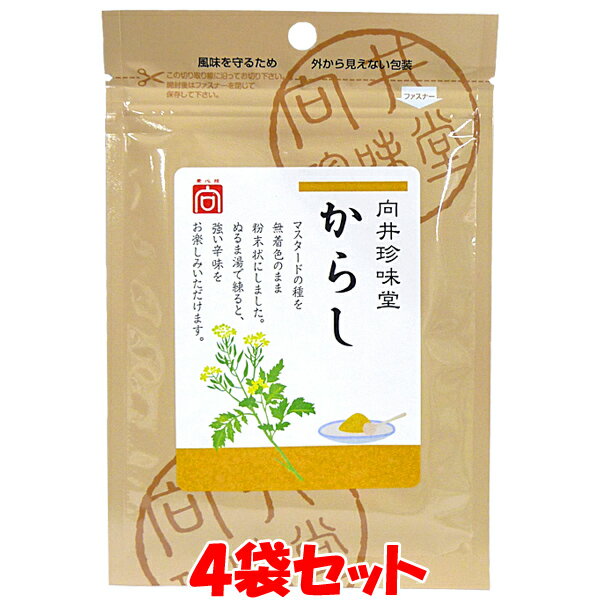 向井 手作り からし 無着色 20g×4袋セットゆうパケット送料無料 ※代引・包装不可 ポイント消化