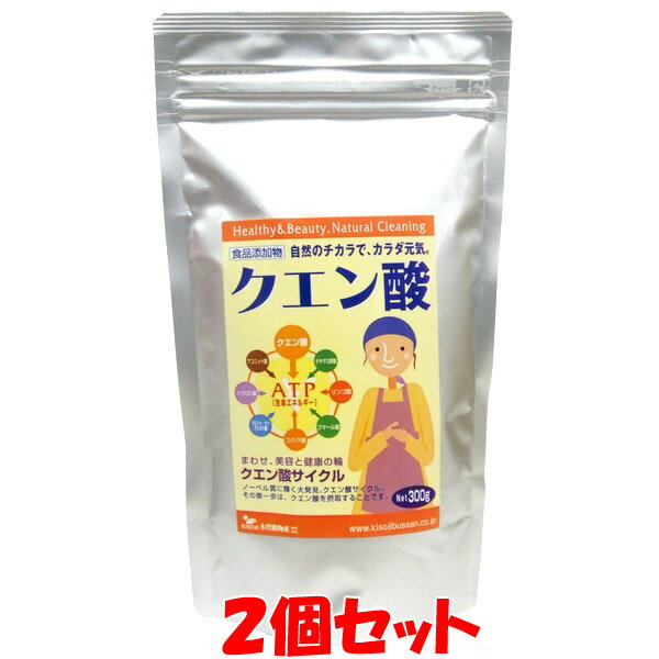 2月15日限定 エントリー&店内買いまわりでポイント最大20倍 !!　クエン酸 粉末 300g×2個セットゆうパケット送料無料 ※代引・包装不可　ポイント消化