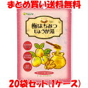 マルシマ 梅はちみつしょうが湯 生姜 生姜湯 梅 はちみつ ショウガオール 60g(12g×5包)×20袋セット まとめ買い送料無料