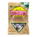 健康フーズ 花梨のど飴 100g(個装紙含む)