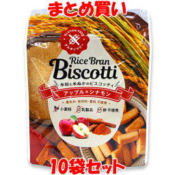 マラソン期間中 エントリー&店内買いまわりでポイント最大10倍！ 高千穂ムラたび ライスブランビスコッティ 米粉と米ぬかのお菓子 ＜アップル×シナモン＞ 40g×10袋セット まとめ買い