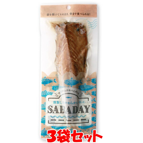 5月20日限定 エントリー&店内買いまわりでポイント最大20倍 !!　1000円ポッキリ！ 浜吉ヤ SABADAY 燻製サバ 鯖 サバ 1枚×3袋セット ゆうパケット送料無料(代引・包装不可)